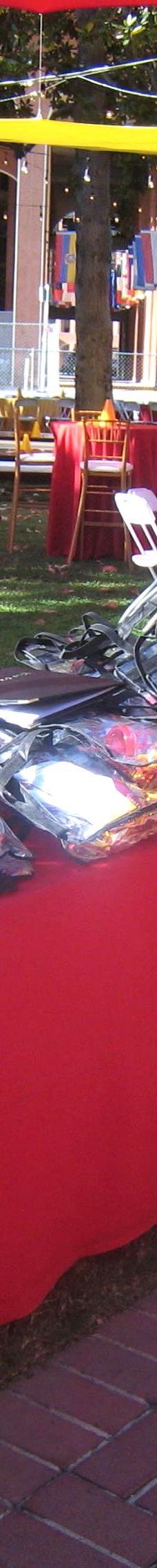 南加州大学-洛杉矶