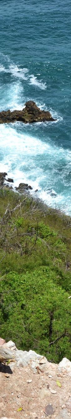 圣佩德罗德拉罗卡堡-圣地亚哥