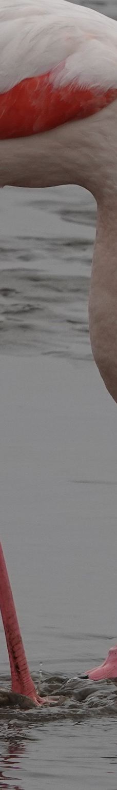 长滩休闲公园-Langstrand