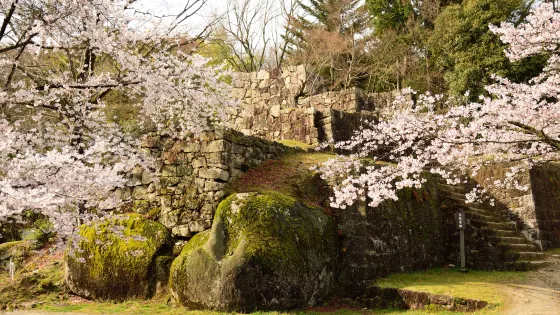 苗木城跡