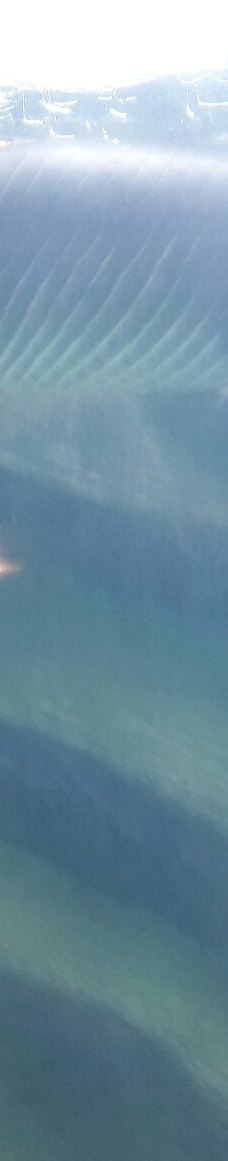 Deniz Dunyasi-安卡拉