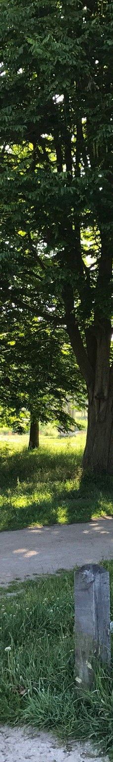 Park De Wezenlanden-兹沃勒