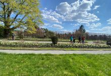 Massachusetts Horticultural Society - Garden at Elm Bank景点图片