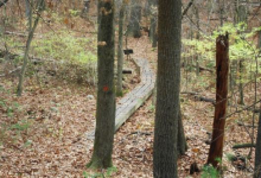 Audubon Powder Mill Ledges Wildlife Refuge景点图片