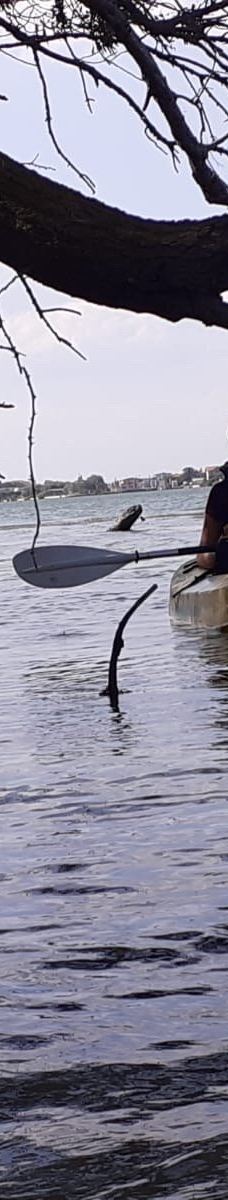 Domaine de la Palissade-阿尔勒