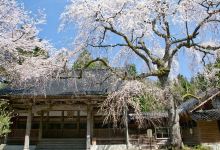 Jorenji Temple景点图片
