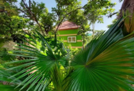 Bãi biển Quỳnh Nghĩa景点图片