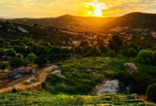 Turtle Rock Ridge Vineyard Winery景点图片