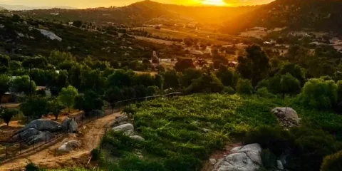 Turtle Rock Ridge Vineyard Winery