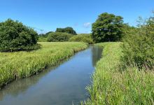 Wildgrounds Nature Reserve景点图片