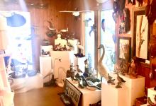 The Bird Store- The Outer Banks Wildlife Art Gallery景点图片