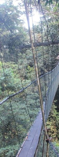 Mulu Skywalk-马鲁迪