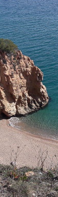 L'illa Roja-巴古尔