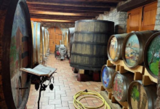 Vina Zigante景点图片