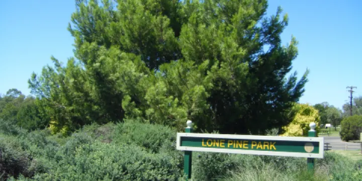 Lone Pine Park