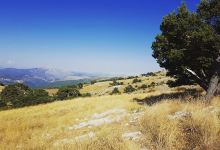 Park Moulière景点图片