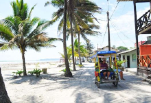 Playa De La Isla De Muisne景点图片