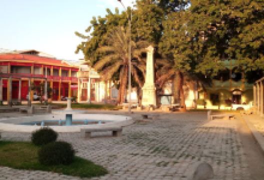 Jardin Jean Ralaimongo景点图片
