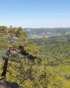 Hangender Stein-佐勒纳尔布县