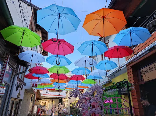 永安旅遊