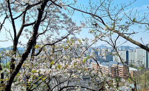 筆峰山