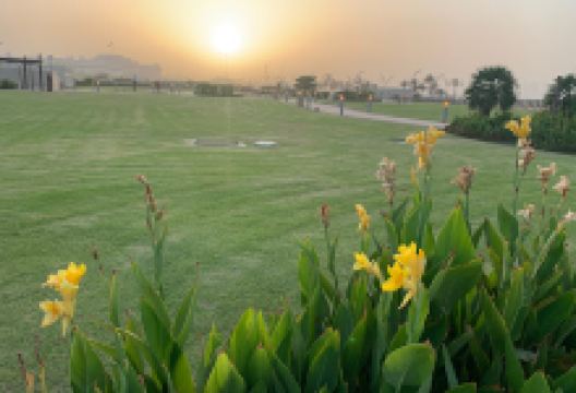 Al Souq Fountain景点图片