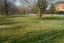 Parco Via Arnaldo da Brescia景点图片