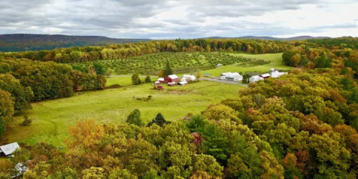 Bashista Orchards and Cider Mill