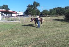 Clay County Fair Ground景点图片