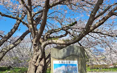 大塚山公園