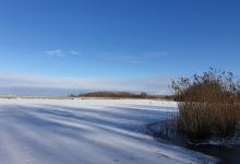 kollummeroord, Hondenlosloopgebied SBB景点图片