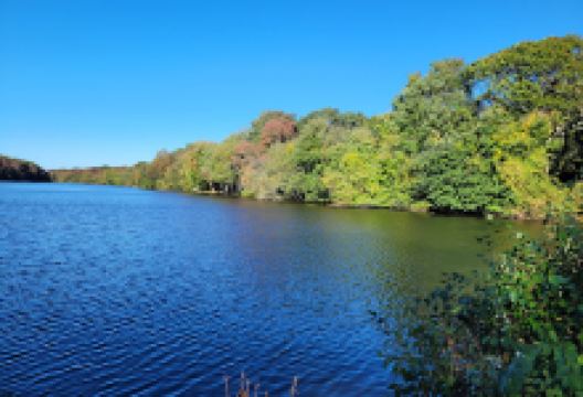 Terrell River County Park景点图片