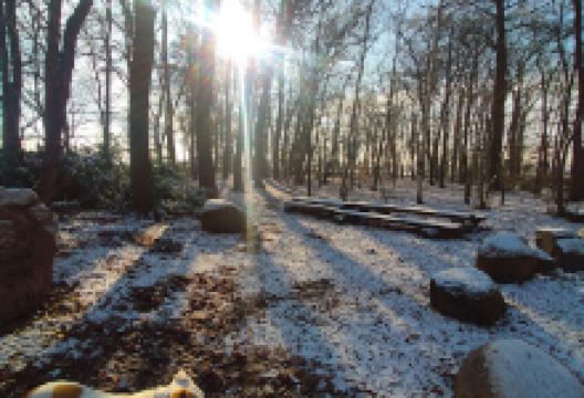 GoGericht景点图片