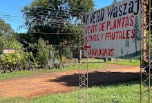 Vivero Waszaj景点图片