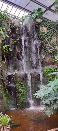 Biotropica, animal gardens-瓦德勒伊