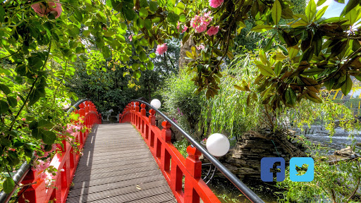 La Cité du Dragon Liège餐厅图片