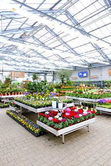 Dehner Garten-Center-开姆尼茨