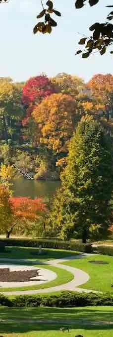 海柏公园-多伦多-YoYo_8R7M7R2P