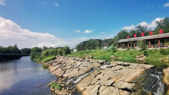 白鷺灘濕地