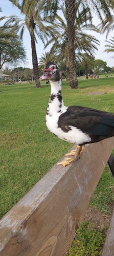 Menachem Begin Park-特拉维夫