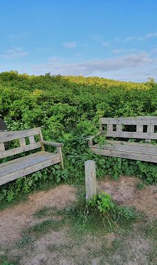 Kongestenen ved Mårup Kirke-约灵