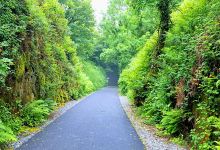Ballyvoyle Tunnel景点图片