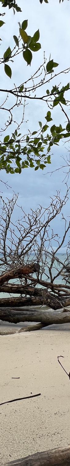 卡维塔国家公园-Talamanca