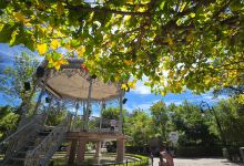 Estadio Victoria景点图片