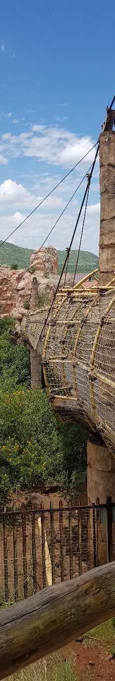 The Maze of the Lost City-太阳城