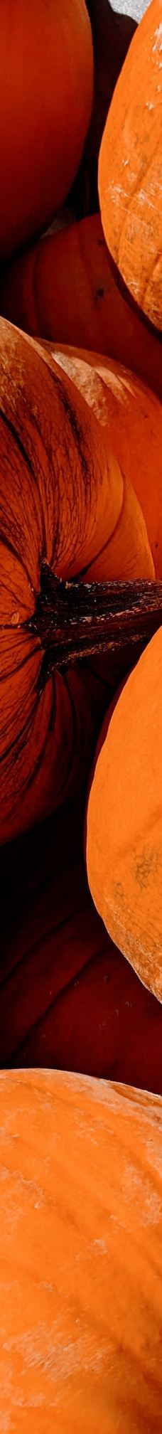 Oskarshausen-Sachsische Schweiz-Osterzgebirge