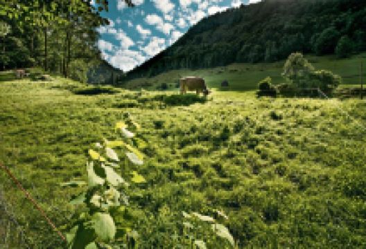 恩特勒布赫教科文生物圈公园景点图片