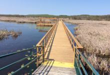 Wye Marsh Wildlife Centre景点图片