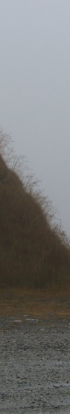 哈当尔国家公园-Voringsfoss