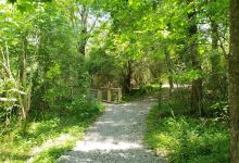 BREC's Bluebonnet Swamp Nature Center景点图片